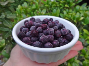 Blueberry Millet Granola