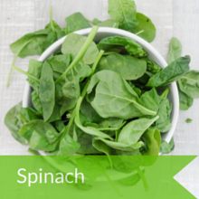 Ingredients Spinach