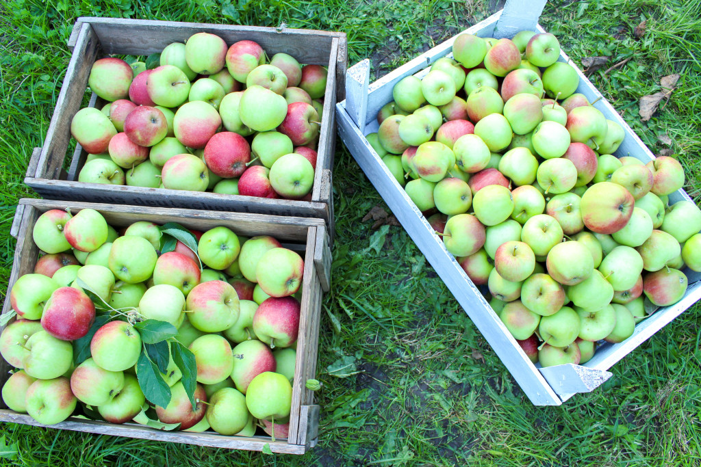 The best apple pie - vegan, gluten-free, dairy-free