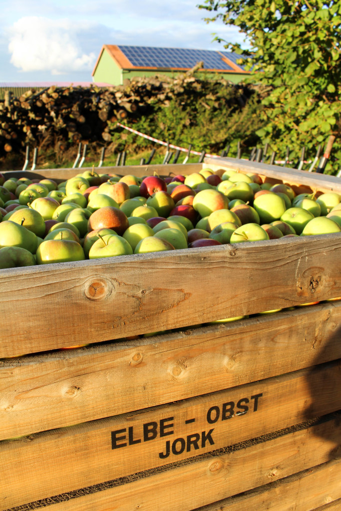 The best apple pie