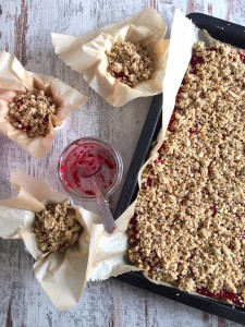 Chia Jam Oat Bars with Streusel Crumb Topping - plant based, gluten free, refined sugar free - heavenlynnhealthy.com