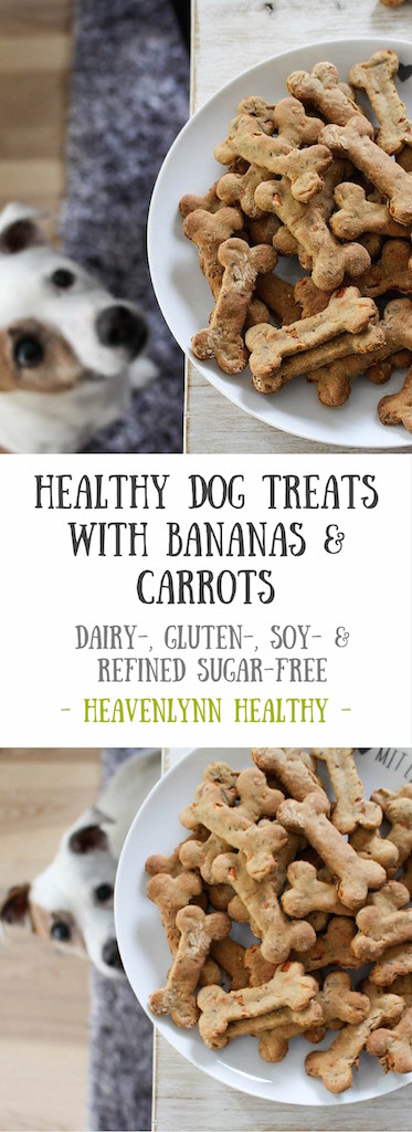 Healthy Dog Treats with Bananas and Carrots - vegan, plant based, gluten free, refined sugar free - heavenlynnhealthy.com