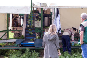 My day at a local vegetable farm