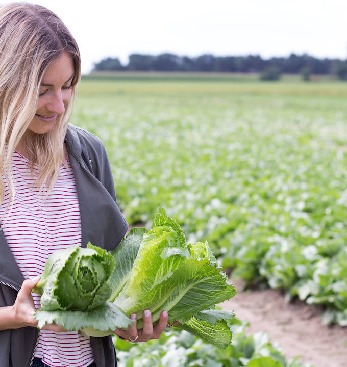 My day at a local vegetable farm