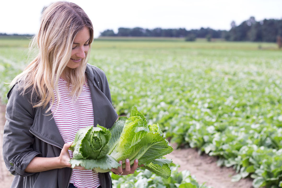 My day at a local vegetable farm