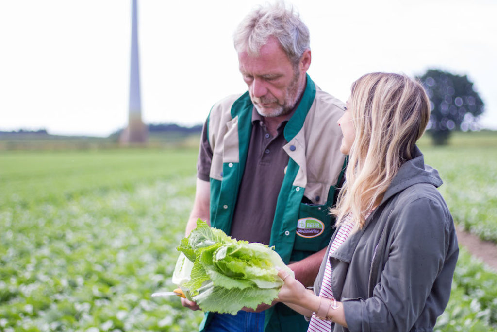 My day at a local vegetable farm