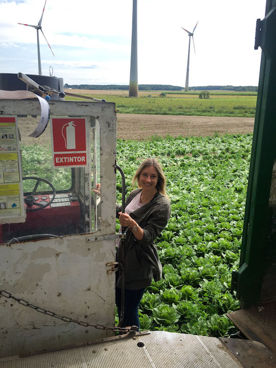 My day at a local vegetable farm