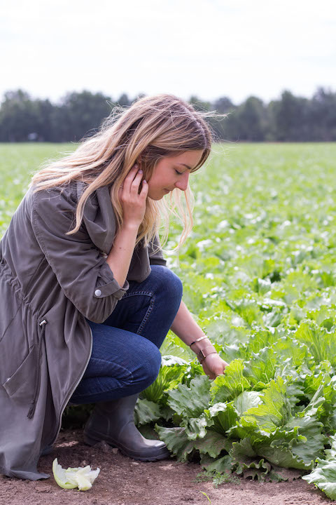 My day at a local vegetable farm