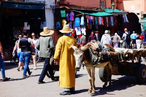 Marrakech Travel Guide - My travel diary, experiences, and tips