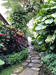 Healthy Bali Guide - Uluwatu, Bingin & South Bali - restaurants, eco lodges and health spots - heavenlynnhealthy.com