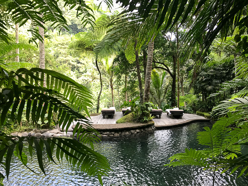 Como Shambala Resort Ubud - heavenlynnhealthy.com