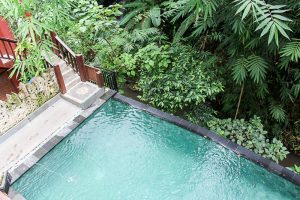 Healthy Bali Guide (Part 3) - Ubud and the spiritual jungle of Bali - heavenlynnhealthy.com