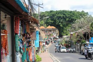 Healthy Bali Guide (Part 3) - Ubud and the spiritual jungle of Bali - heavenlynnhealthy.com