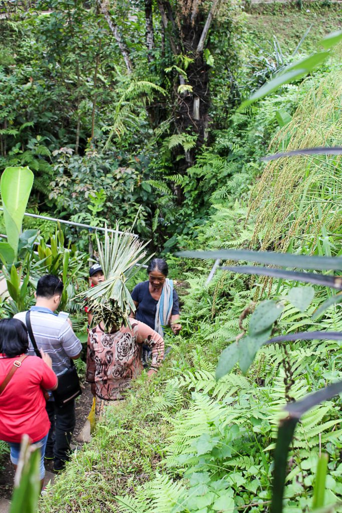 Healthy Bali Guide (Part 3) - Ubud and the spiritual jungle of Bali - heavenlynnhealthy.com