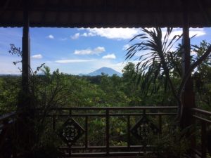 Healthy Bali Guide (Part 3) - Ubud and the spiritual jungle of Bali - heavenlynnhealthy.com