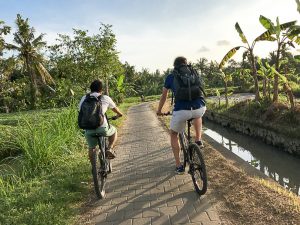 Healthy Bali Guide (Part 3) - Ubud and the spiritual jungle of Bali - heavenlynnhealthy.com