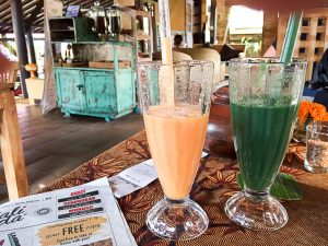 Healthy Bali Guide (Part 3) - Ubud and the spiritual jungle of Bali - heavenlynnhealthy.com