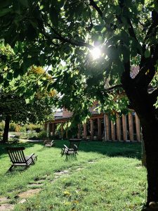 My Ayurveda Retreat – or how to relax?